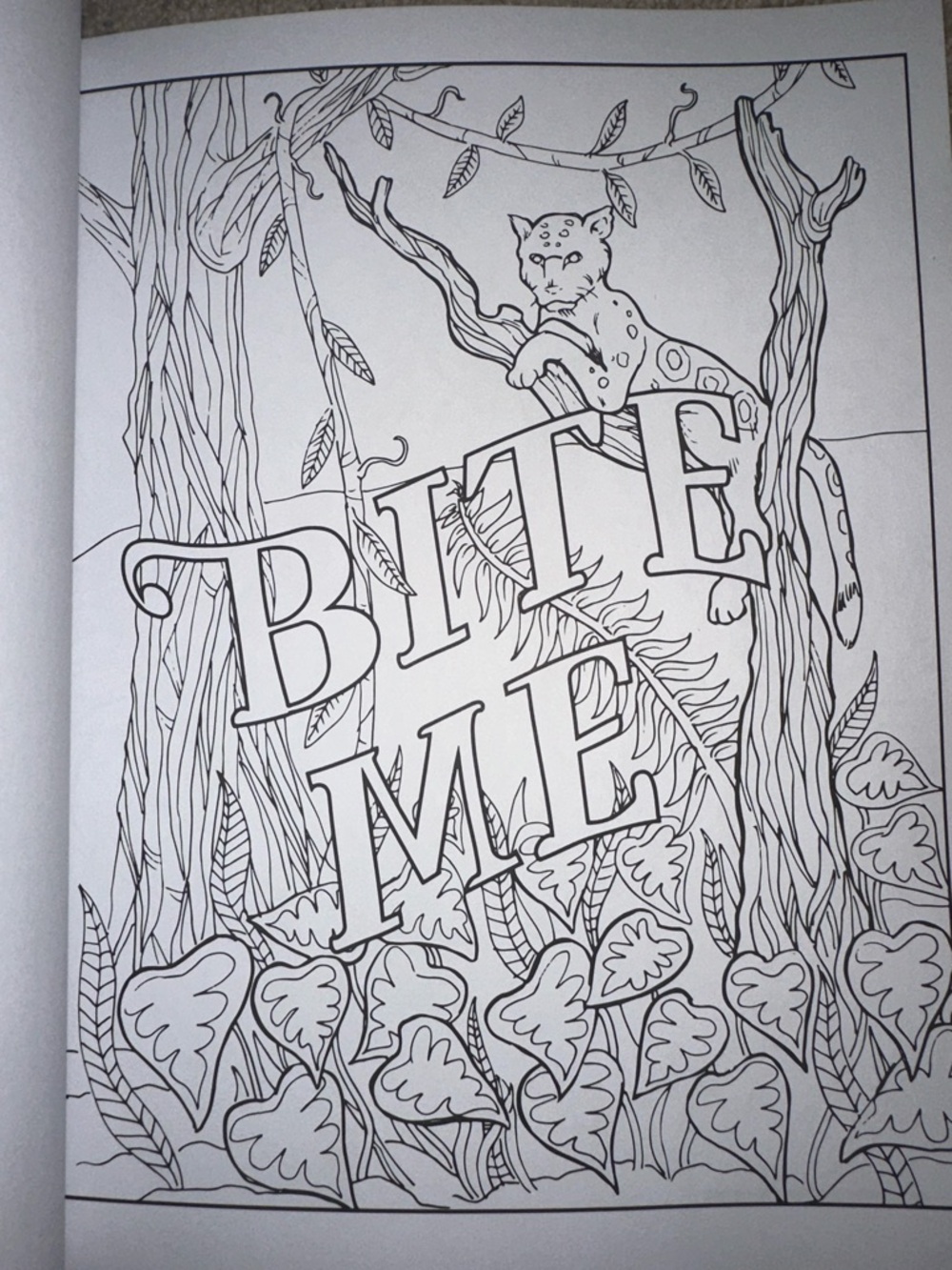 🆕 Swear Word Coloring Book - Picture 5 of 6
